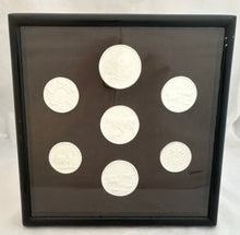 Late 19th Century Cased Set of Eight North West England Agricultural Plaster Intaglio Roundels.