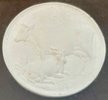 Late 19th Century Cased Set of Eight North West England Agricultural Plaster Intaglio Roundels.