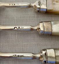 Georgian, George III, Silver & Mother of Pearl Dessert Cutlery for Six. Sheffield 1812.