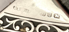 Victorian Silver Mounted Purse. Birmingham 1898 A. Bromet & Co.