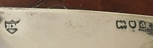 Victorian silver mounted reptile leather card case. London 1899 Henry Matthews.