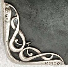 Art Nouveau Silver Mounted Card Case. Birmingham 1900 Steinhart & Co.
