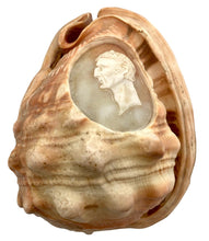 The Duke of Wellington Large Conch Shell Cameo.