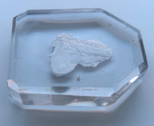 King George I, An Early 19th Century Sulphide Portrait.