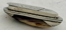 Victorian White Metal Mounted Mussel Shell Snuff Box, circa 1880 - 1900.