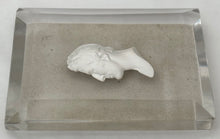 The Duke of Wellington, 19th Century Sulphide Portrait Profile Cut Glass Paperweight.