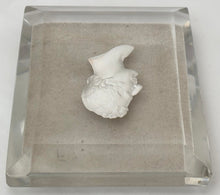 The Duke of Wellington, 19th Century Sulphide Portrait Profile Cut Glass Paperweight.