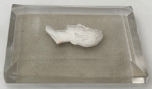 The Duke of Wellington, 19th Century Sulphide Portrait Profile Cut Glass Paperweight.