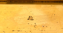 19th Century Gilt Metal Snuff Box.