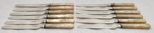 William IV Cased Set of Silver & Carved Mother of Pearl Dessert Knives & Forks for Twelve. Sheffield 1831/32 Aaron Hadfield.